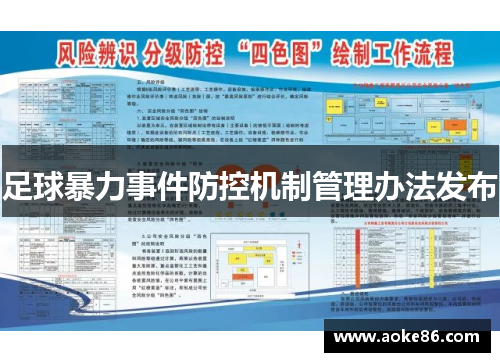 足球暴力事件防控机制管理办法发布